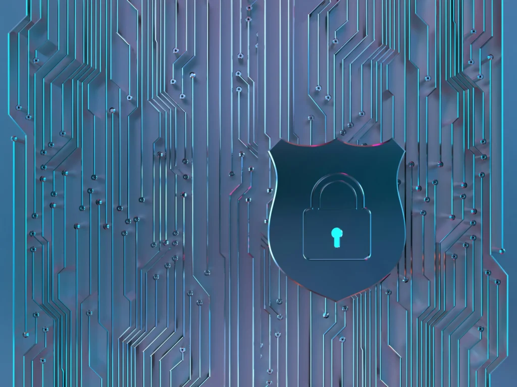 data privacy vs data security